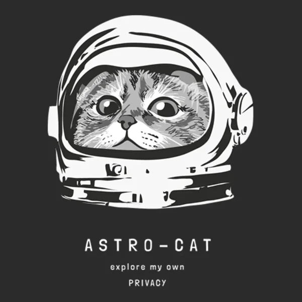 astro-cat-heat-transfer