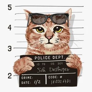 cat-criminal-photo-heat-transfer
