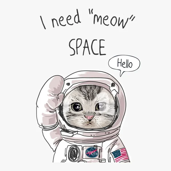 cat-astronaut-heat-transfer