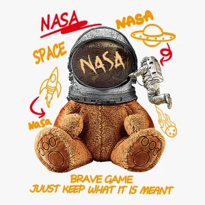 nasa-teddy-bear-heat-transfer