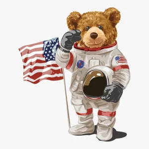 nasa-teddy-bear-heat-transfer