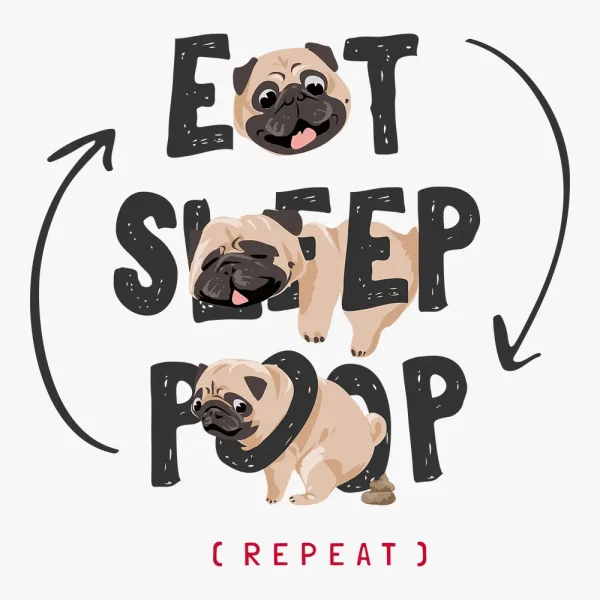 pug-with-eat-sleep-poop-slogan-heat-transfer