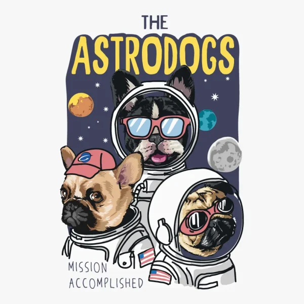 the-astrodogs-heat-transfer
